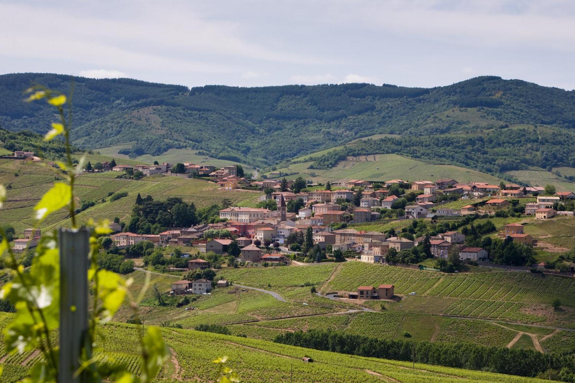 Vaux-en-Beaujolais 科洛彻米尔勒客栈酒店 外观 照片